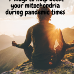 Seven ways to help boost your mitochondria during pandemic times 2